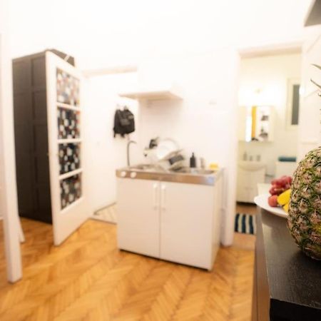 布加勒斯特Cozy Studio Near Cismigiu Park公寓 外观 照片